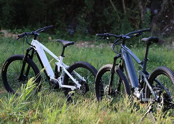 Ap Apartment's W Rynku Appartement *